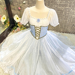 Custom Style Girls Light Blue Romantic Ballet Dress Performance Ballet Wear