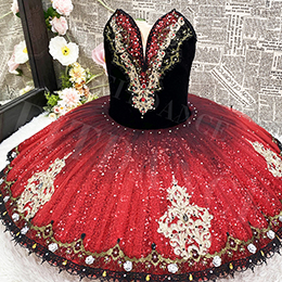 New Arrival Classical Girls Professional Ballet Performance Tutu
