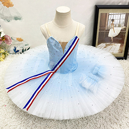 Custom Size Girls Light Blue Professional Stage Performance Ballet Tutu