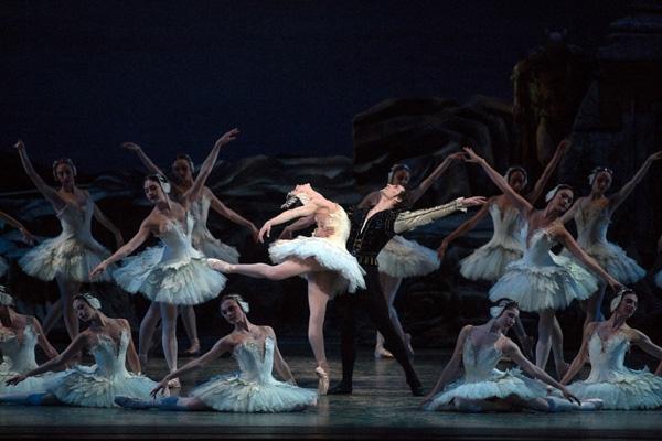 Acrobatic ballet "Swan Lake" is popular overseas
