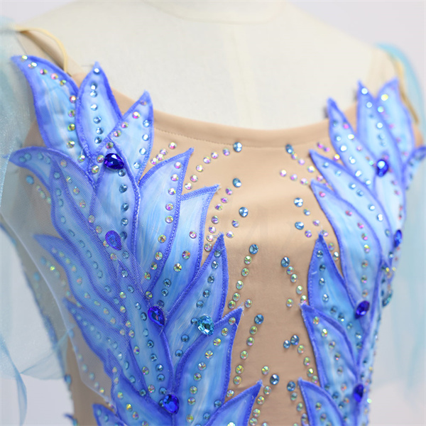 Blue Bird Ballerina Stage Costumes