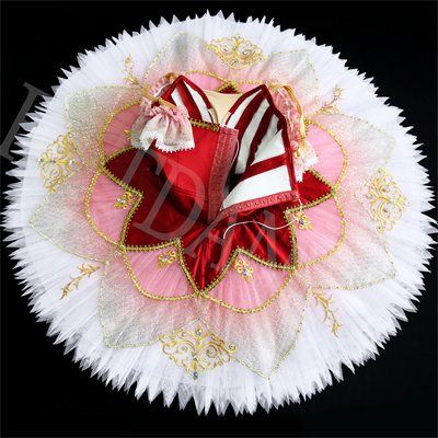Classical Paquita Sleeping Beauty Ballet Dress